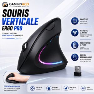 Souris Verticale Ergonomique Sans Fil 2.4G - Souris Optique de Bureau pour PC et Ordinateur Portable