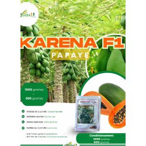 SEMENCE SOGEBA - PAPAYE KARENA F1 - 1000 graines
