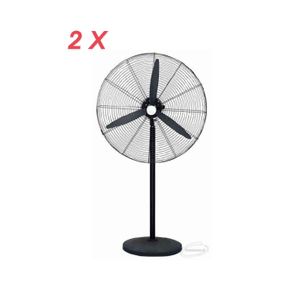 2 Ventilateurs Industriels Gros Format