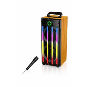 Baffle Karaoke Bluetooth LED avec Micro – Haut-Parleur Rechargeable Puissant