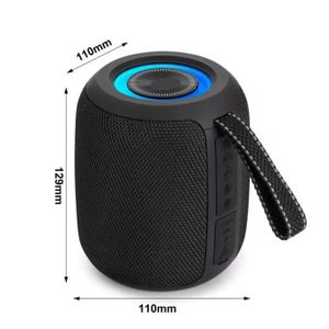 haut-parleur Bluetooth portable