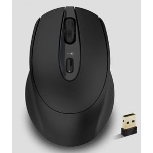 Souris sans Fil ergonomique connexion 2.4ghz noir plat