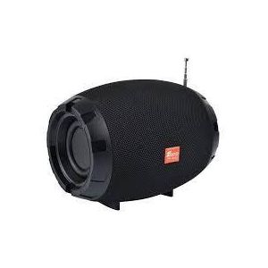 Enceinte Portable Multifonction – Puissante et Polyvalente