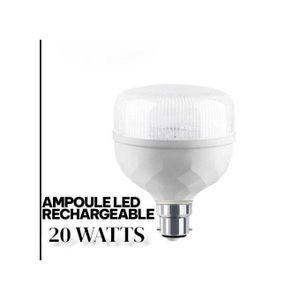 Ampoule Led Rechargeable Super Puissant 30 Watts HG
