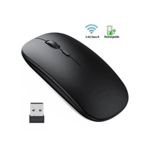 Souris Sans Fil Rechargeable 2.4G avec Récepteur USB - Noir