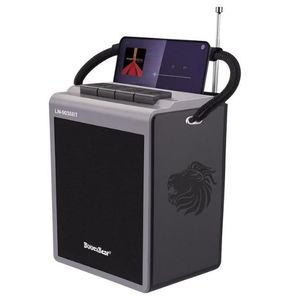 Enceinte Portable Sans Fil - Noir