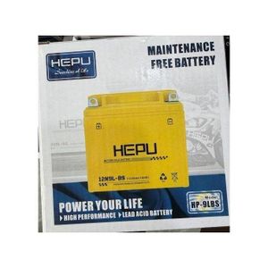 Puissante batterie HEPU 12V 9Ah avec Ampoule 12 V pince et interrupteur offert