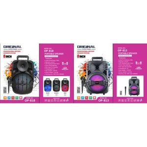 Original  Baffle Audio - USB-FM RADIO + 1 Micro