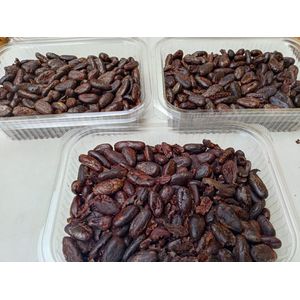 Lot de 3 boites de Fèves de Cacao Torrifié