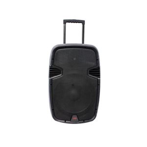 Jld Baffle Amplifier Haut-parleur - 2500W