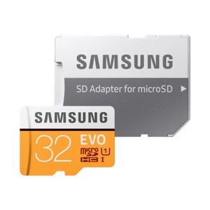 Samsung Carte Mémoire 32GB EVO Plus Class 10 UHS-1
