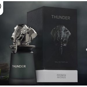 FRENCH AVENUE thunder eau de parfum homme 100ml