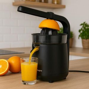 Presse-Agrumes Électrique Disine Regina (Modèle DR-Y440)