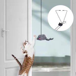 Nouveau jouet pour chat suspendu à la porte, anti-stress, jouet suspendu pour salon, pour chaton.