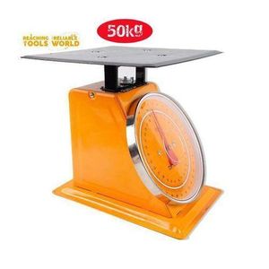 DINGQI Balance Mécanique à ressort de 200g à 50kg