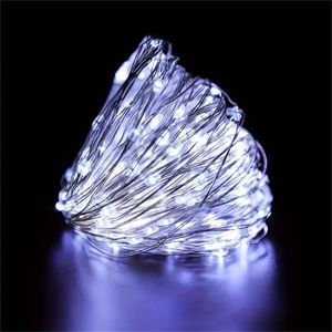 Guirlande Lumineuse -10m -100 LED-02