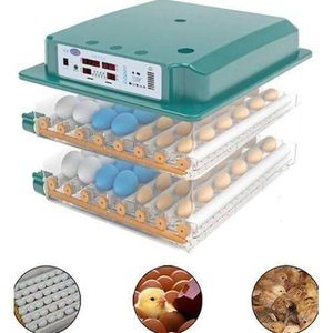 Incubateur automatique pour œufs (couveuse automatique électrique)