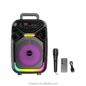 Enceinte Bluetooth Portable avec Microphone