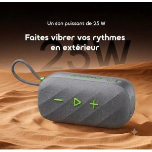 Oraimo Enceinte Bluetooth SpaceBox Active 25W Gris - Basses Puissantes - Radio FM et EQ personnalisé - Etanche IP55