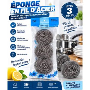 2 Éponge en fil d'acier