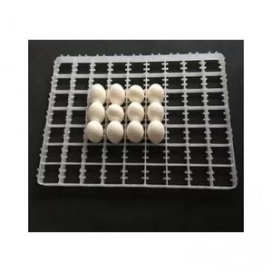 Alveole 63 Oeufs De Canard Et De Dindon Pour Couveuse (lot De 3)