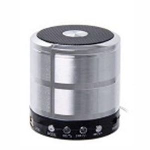 WS WS-887 Portable Bluetooth Mini Speaker  HT - Argent