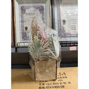 Décoration de Noël avec pomme dorée et plantes sur support carré