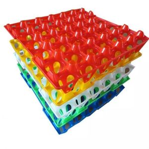 Alvéoles 30 Oeufs De Poule En Plastique (LOTS DE 15)