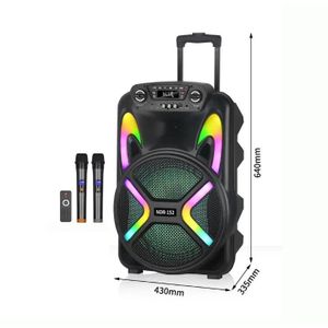 Baffe Amplifié 2Micro  Haut-parleurs P.M.P.0.:1500w