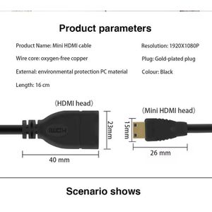 Câble adaptateur Mini HDMI mâle vers HDMI femelle HDTV