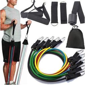 Kit Bandes de Résistance Fitness Multicolores – Home Gym Complet pour Entraînement à Domicile