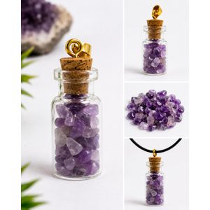 Pendentif Flacon Améthyste Naturelle