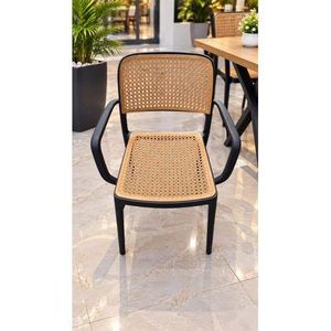 Chaise Plastique Adulte de salon balcon - MARRON