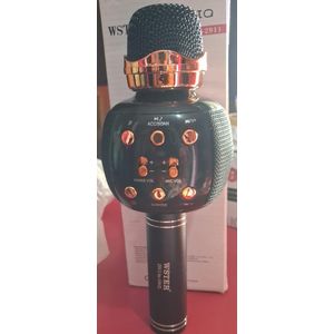 Wireless Micro Karaoké Sans Fil Avec Bluetooth