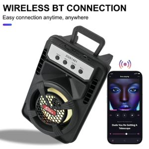 Enceinte Bluetooth Portable