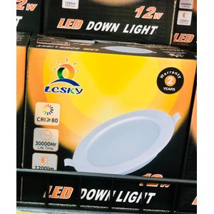 LED Down Light