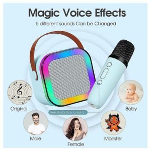 Mini haut-parleur de karaoké Bluetooth avec microphone sans fil et lumières