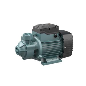  PUISSANTE POMPES DE SURPRESSION PERIPHERIQUE ELECTRIQUE 1 CHEVEAU