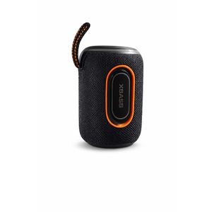 Enceinte Bluetooth Portable