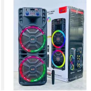 Enceinte Portable Sans Fil Double Haut-Parleur de 12 Pouces Grand Haut-Parleur TWS avec Microphone Sans Fil - Noir