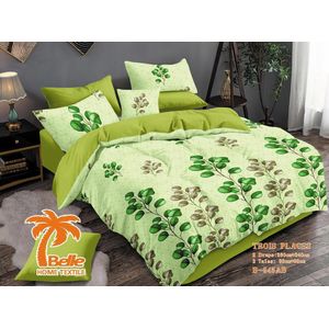 Belle Lot de 2 Draps et 2 Taies - Confort et Élégance pour Lit 3 Places