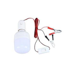 Ampoule 12 V avec pince et interrupteur, lampe de camping à batterie extensible pour marché nocturne