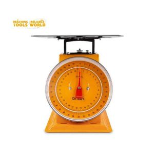 DINGQI Balance 30Kg/100g
