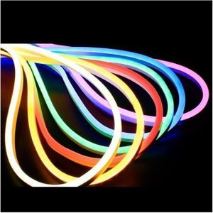 5 m 12 V lumière néon LED basse tension avec forme de panneau d'affichage extérieur étanche flexible led bande lumineuse