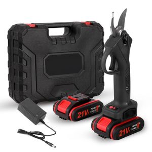 Sécateur électrique rechargeable 21 V avec double batterie