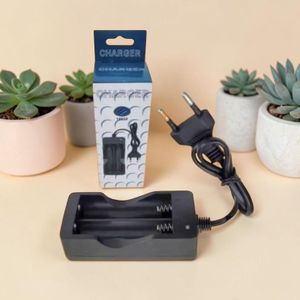 Chargeur de batteries 18650 Double slot  