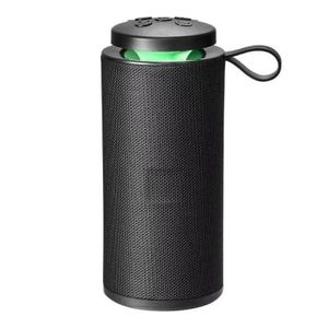 Enceinte Bluetooth Portable Sans Fil avec LED
