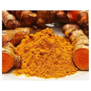 Poudre de curcuma