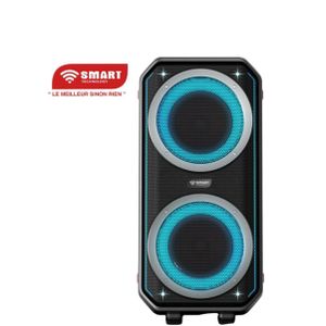 Smart Enceinte Monobloc Rechargeable Modèle _STHP-7070E- 500W, USB, Bluetooth, Micro Inclus, Noir 