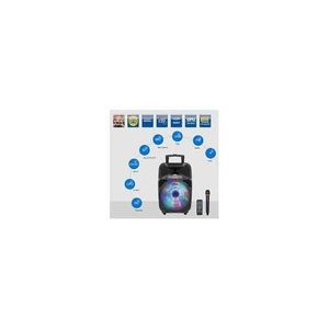 Haut-Parleur Portable Rechargeable Avec Microphones Sans Fil VHF - Noir